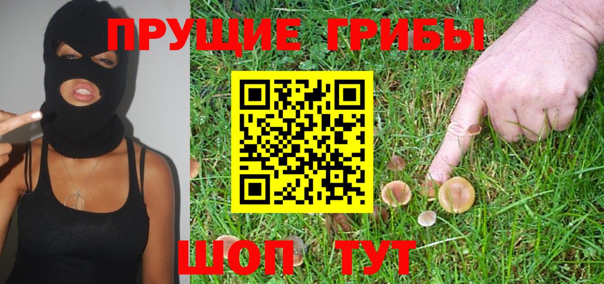 Псилоцибиновые грибы Cubensis Обнинск
